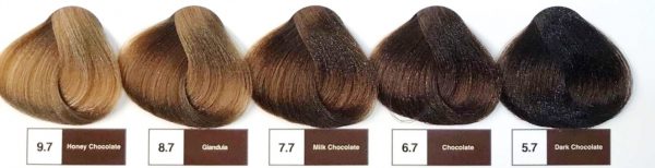 585 رنگ مو رف , REF سری Chocolates