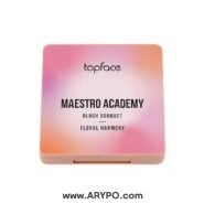 پالت رژگونه TOPFACE مدل MAESTRO ACADEMY