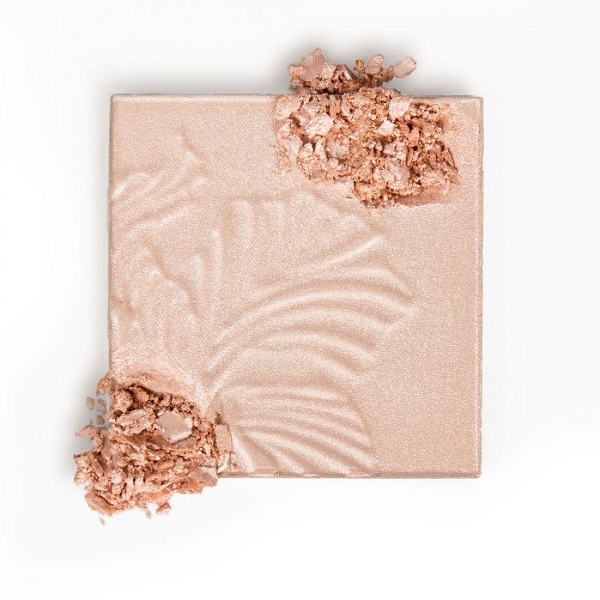 هایلایتر پودری مگا گلو وت اند وایلد مدل E319B Blossom Glow