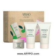 باکس جلوگیری از منافذ پوستی SHISEIDO مدل WASO